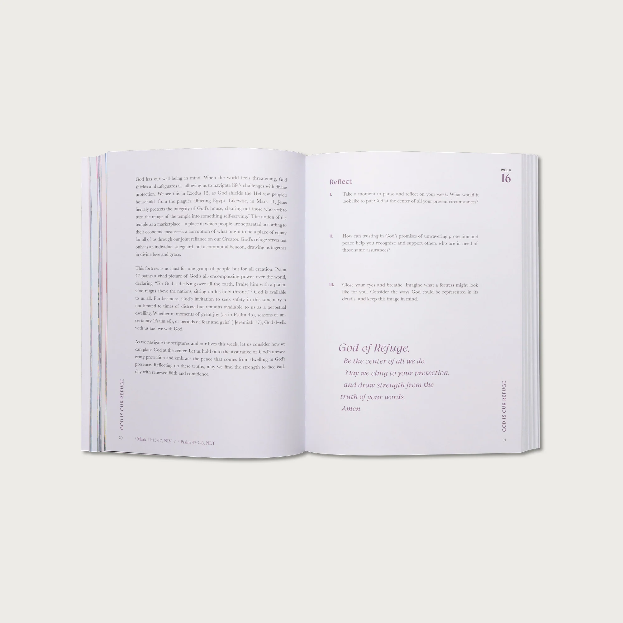 Bloom in Faith Study Bundle - Image 4