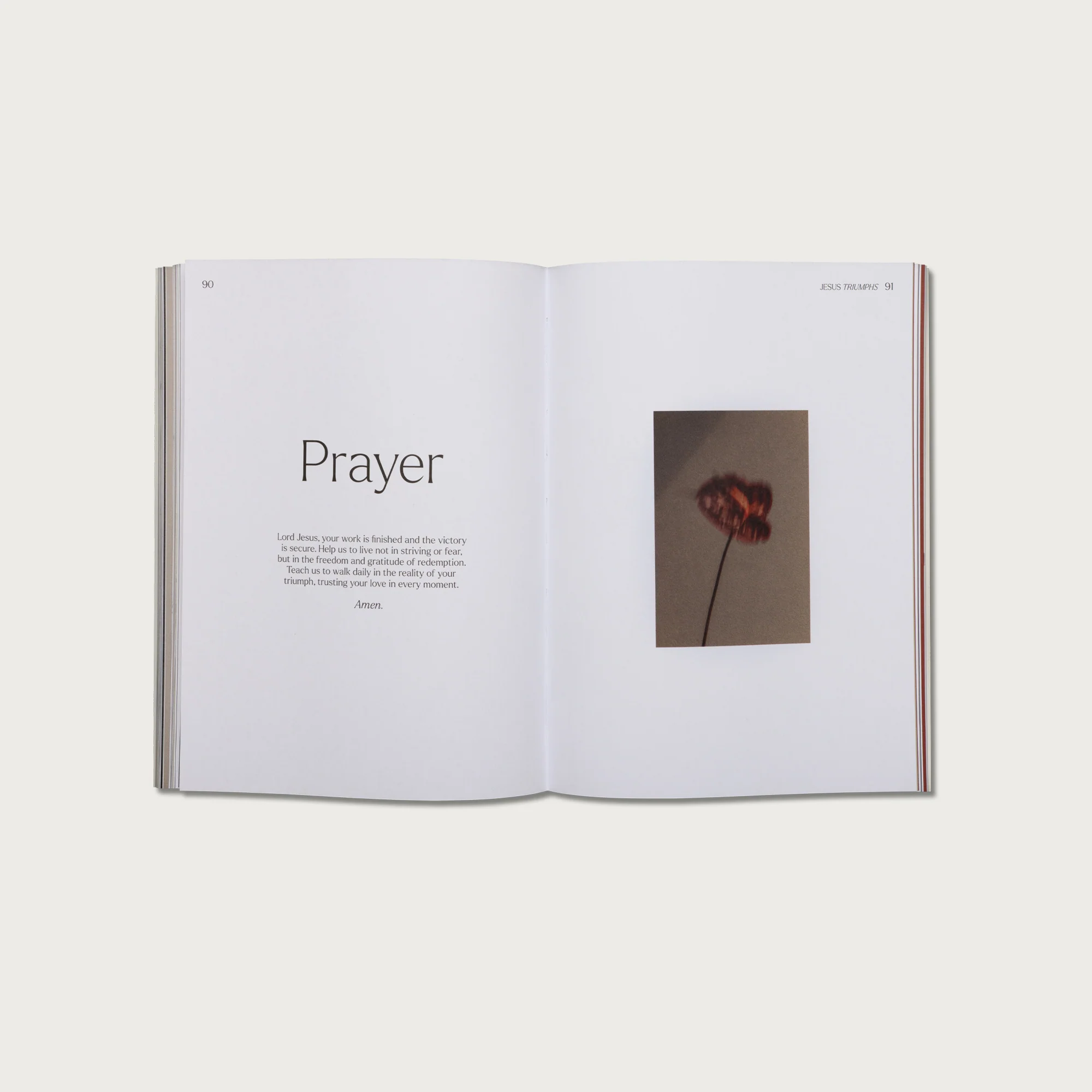 Bible Study and Devotional Pairing - Image 6