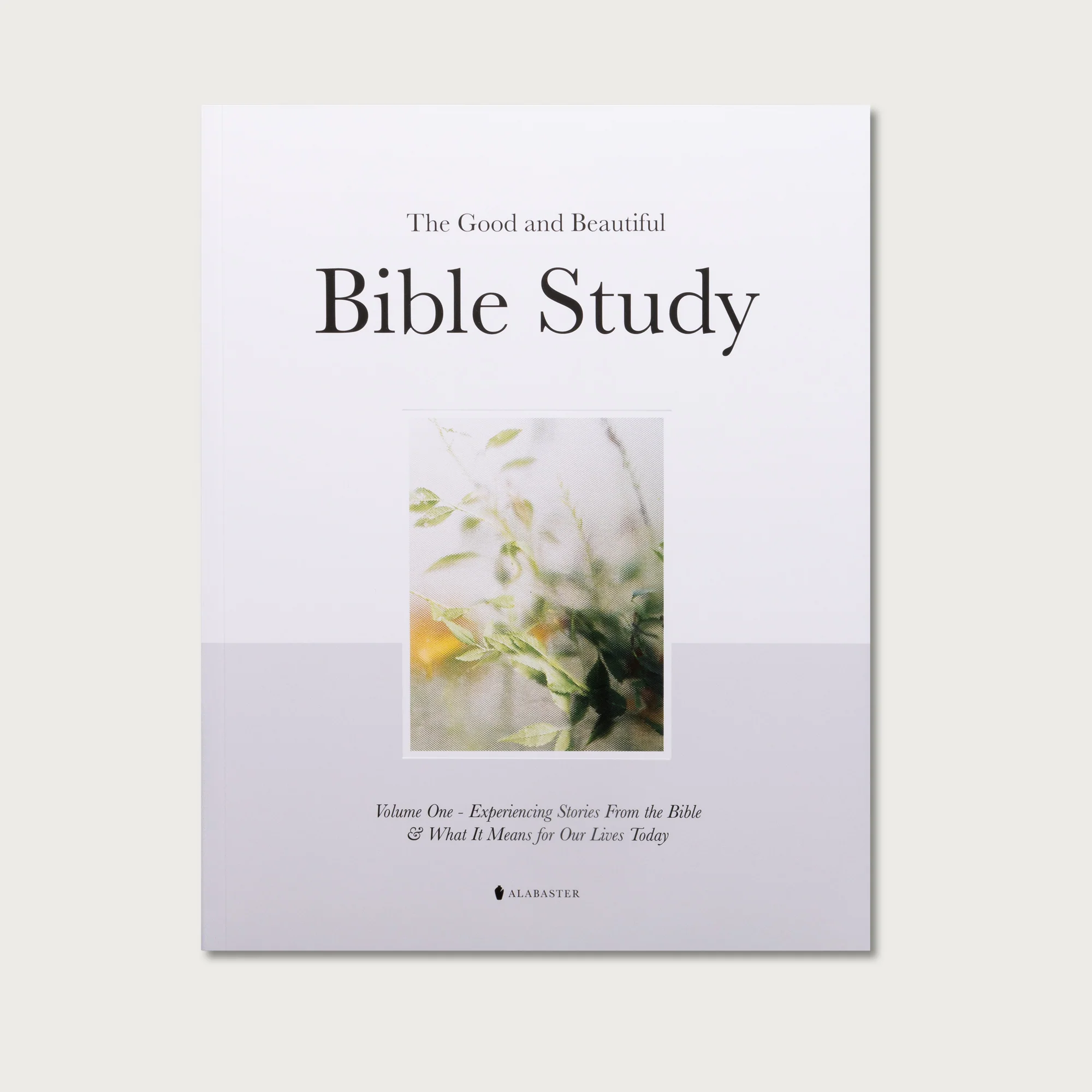 Bible Study and Devotional Pairing - Image 8