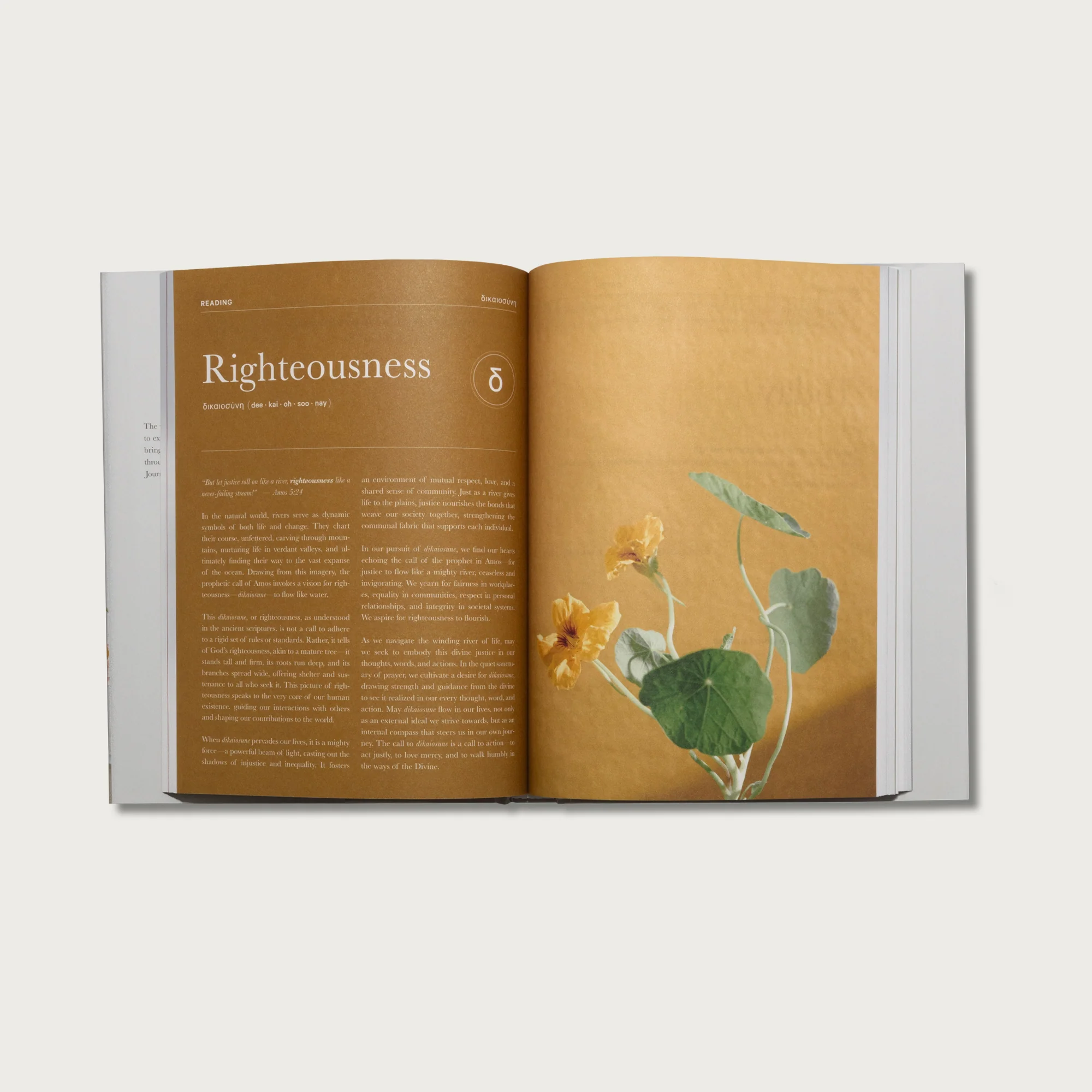 Devotional Bundle - Image 6