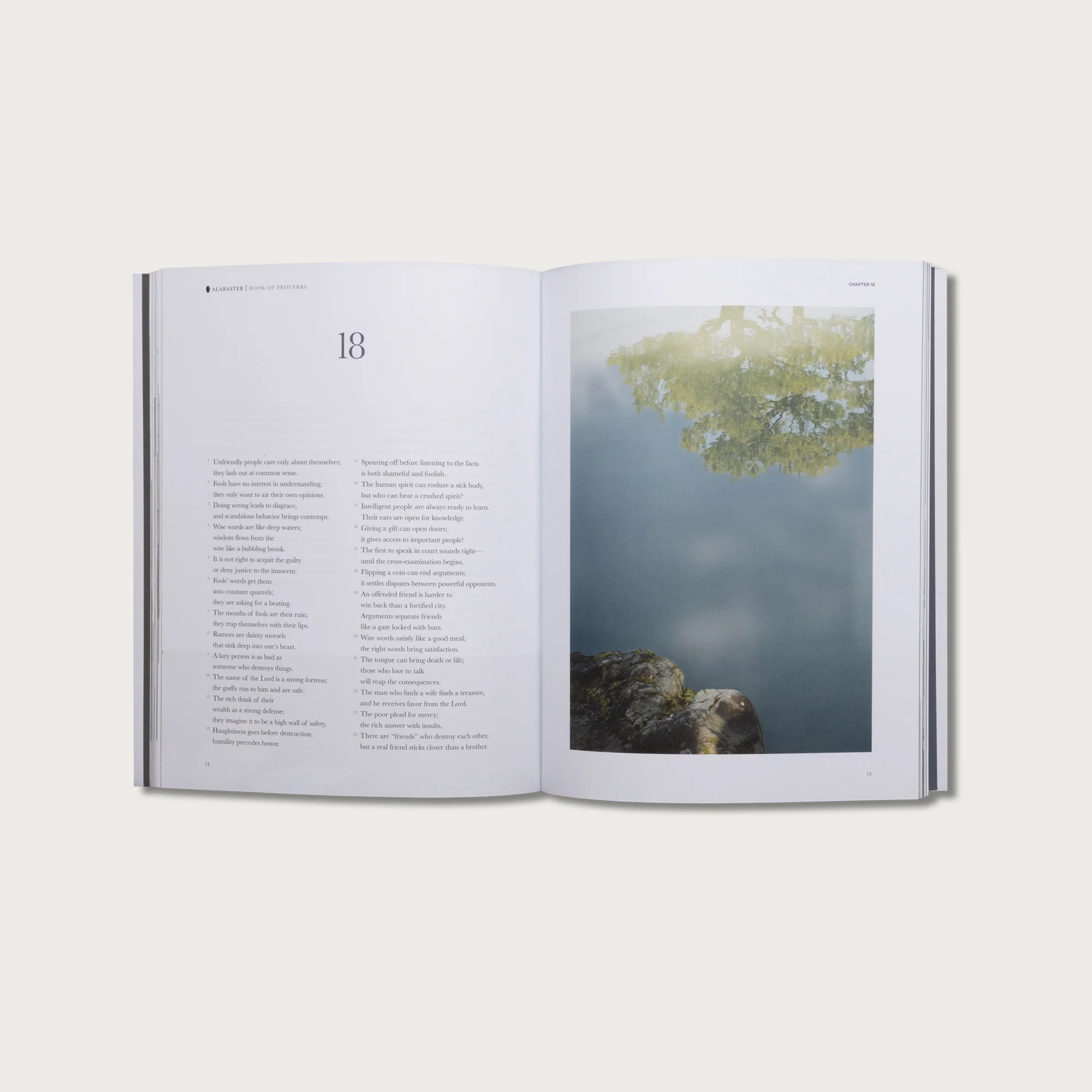 The Study Bundle - Image 5