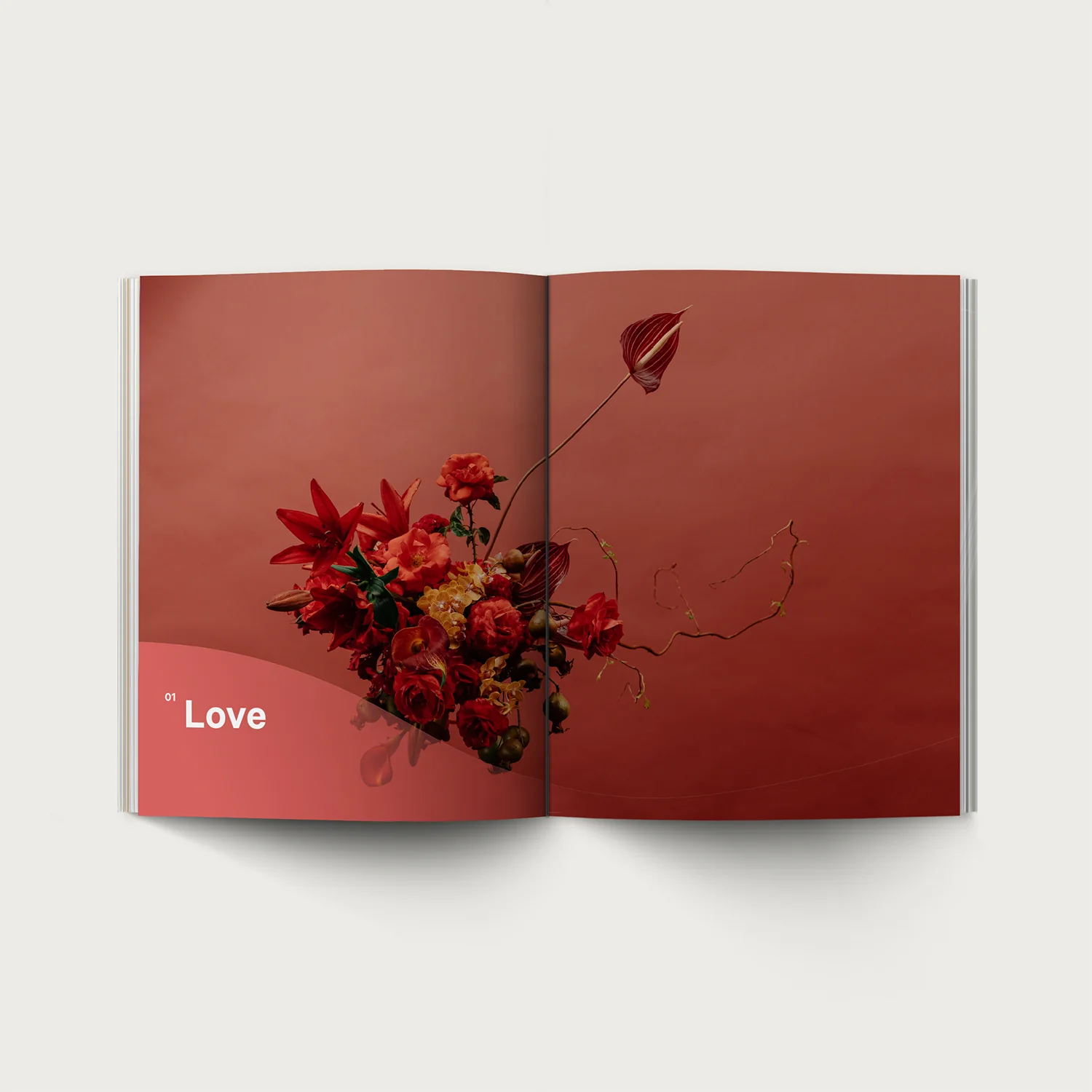 Fruit - Image 3