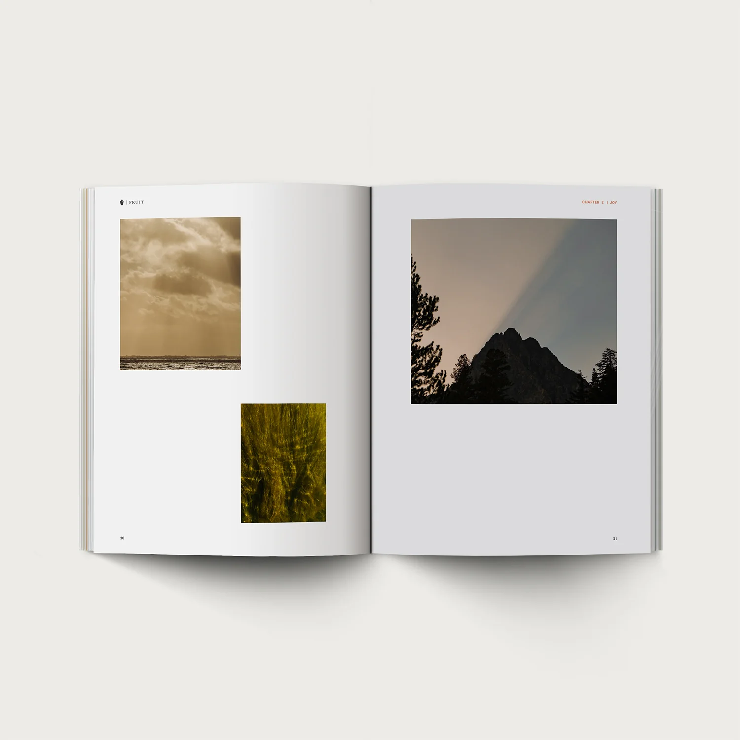 Fruit - Image 4