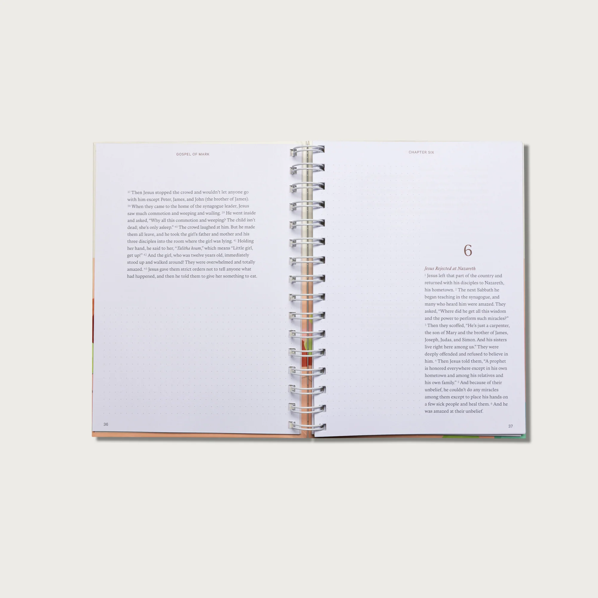 Journal Bible Complete Collection - Image 23