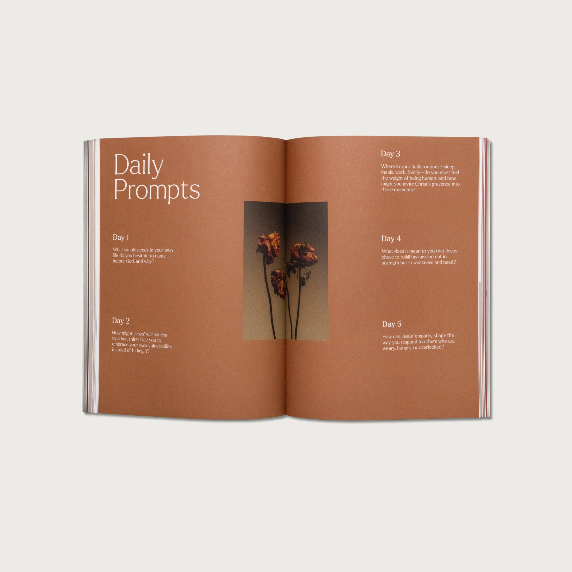 The 7 Last Sayings of Jesus: A 40-Day Bible Devotional for Journeying to the Cross - Image 11