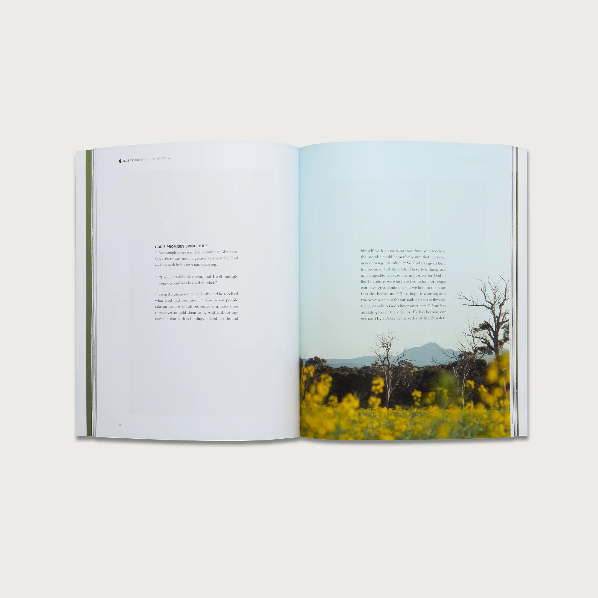 The Book of Hebrews - Image 3