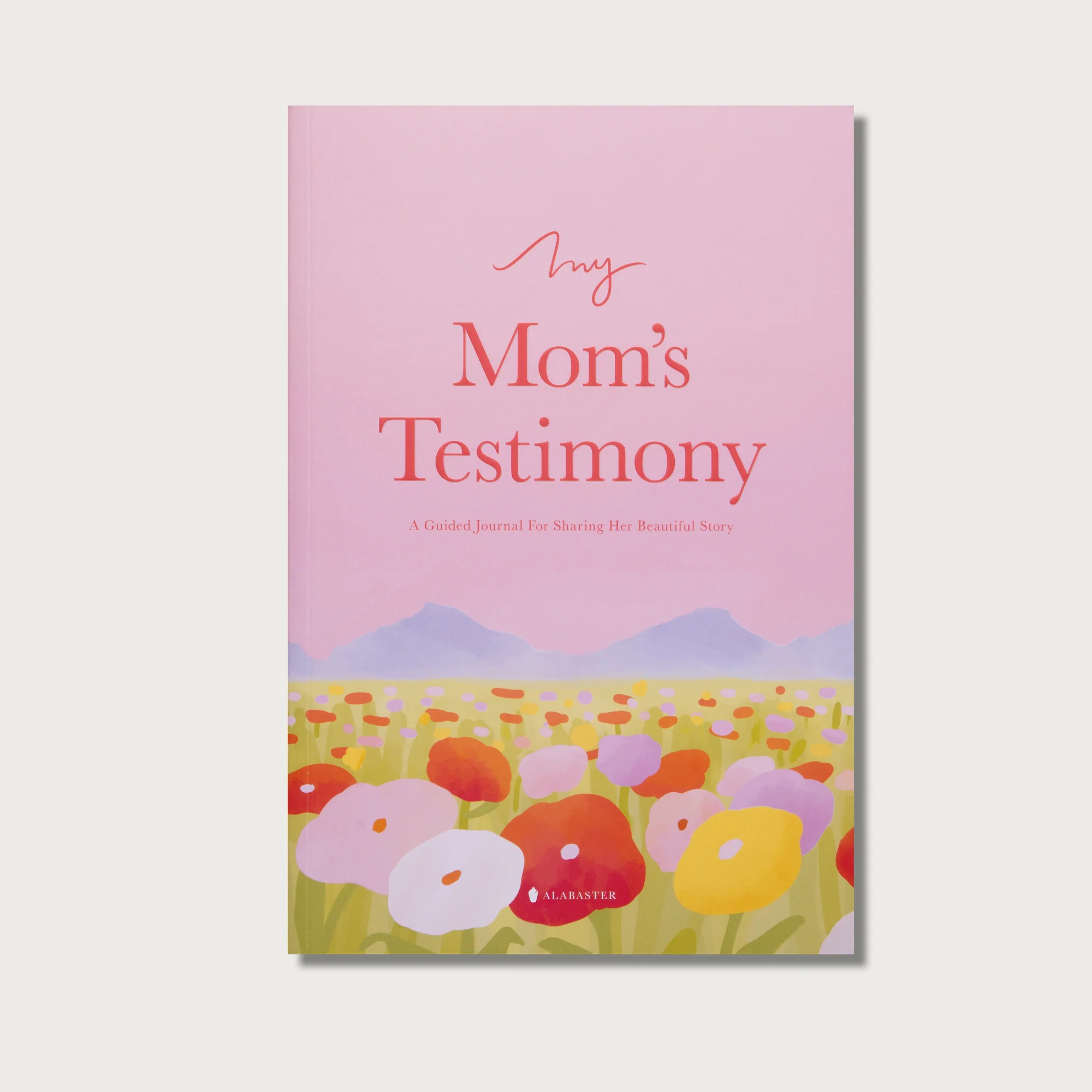 Testimonial Gift Bundle - Image 4