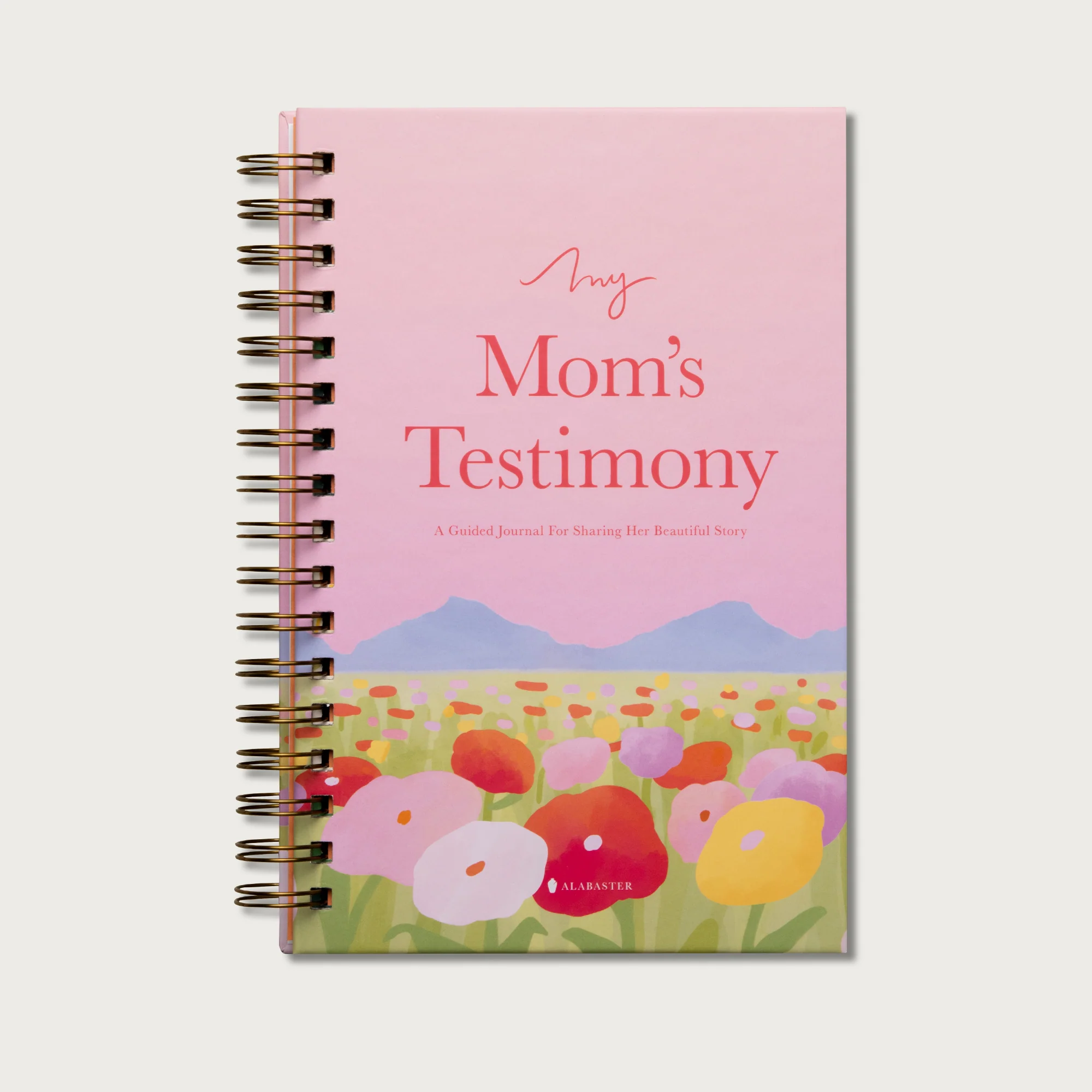 Testimonial Gift Bundle - Image 14