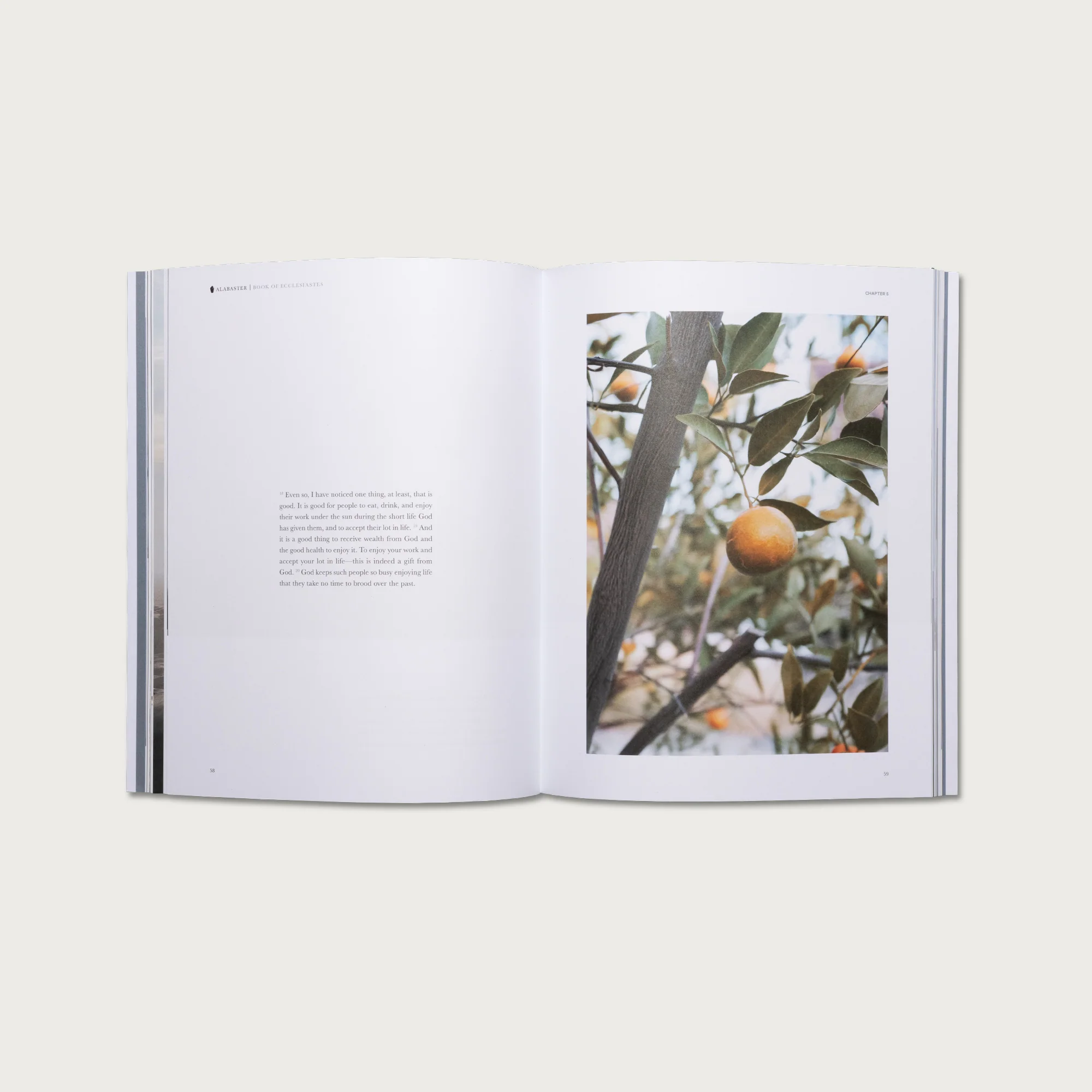 Wisdom Collection - Image 4