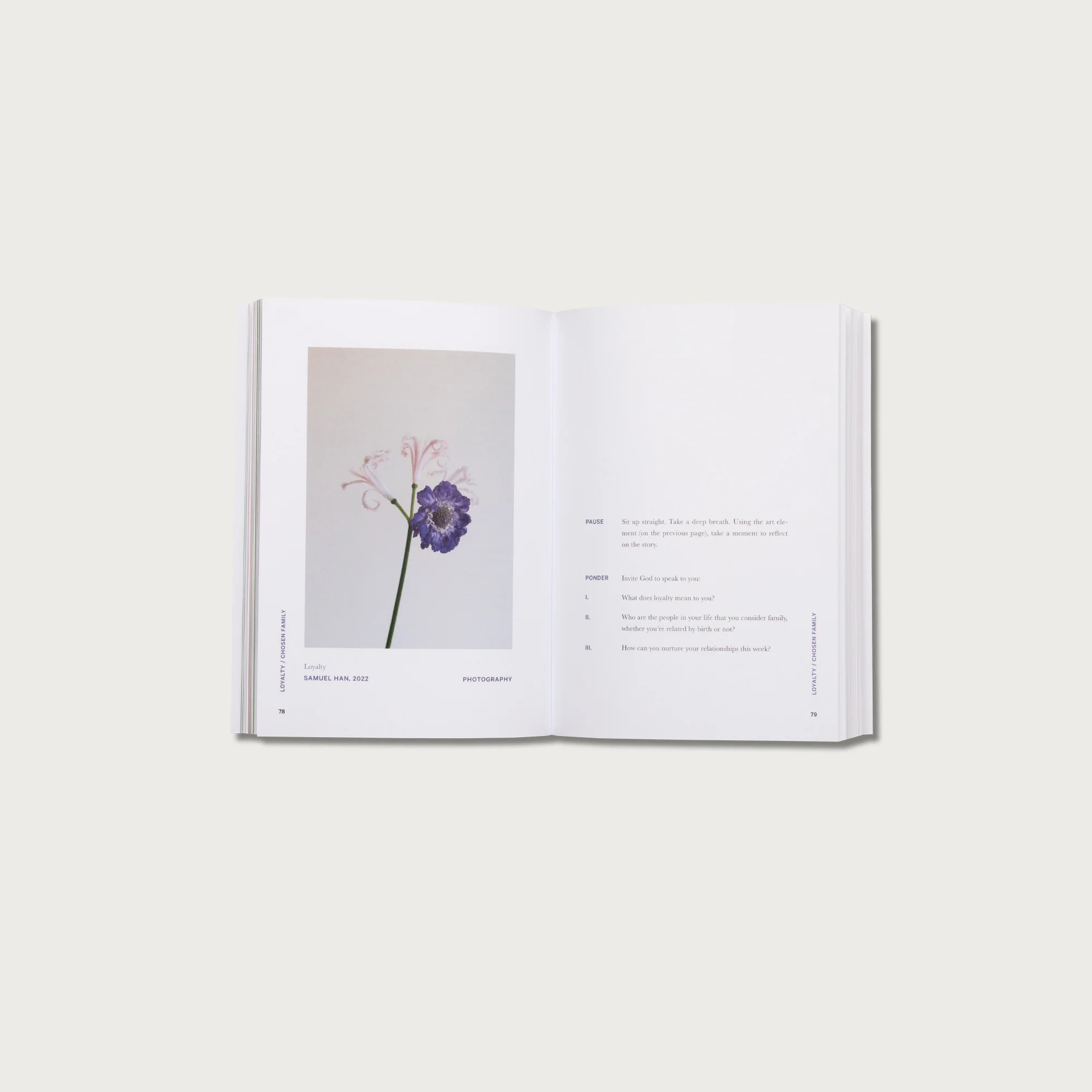 The Mini Good and Beautiful Bundle - Image 4
