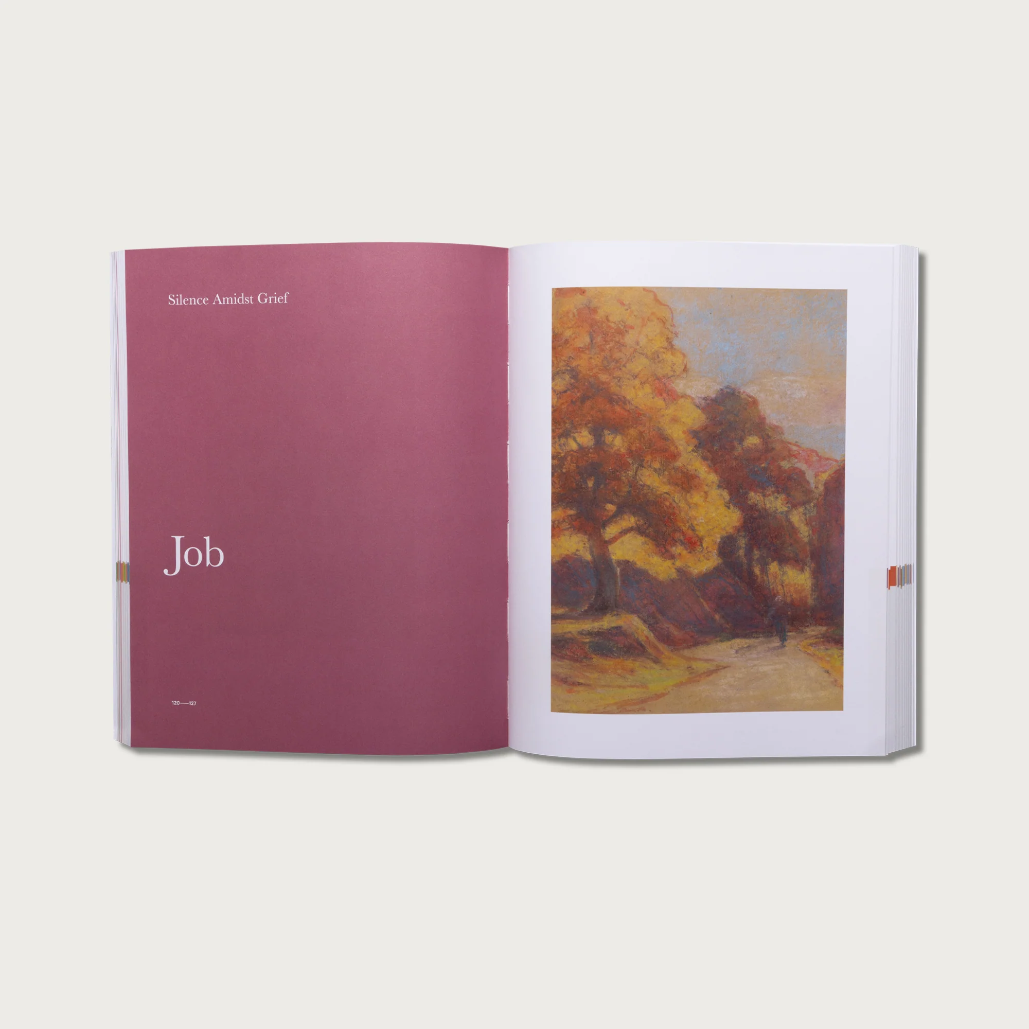 The Good and Beautiful Bible Studies - Bundle - Image 5