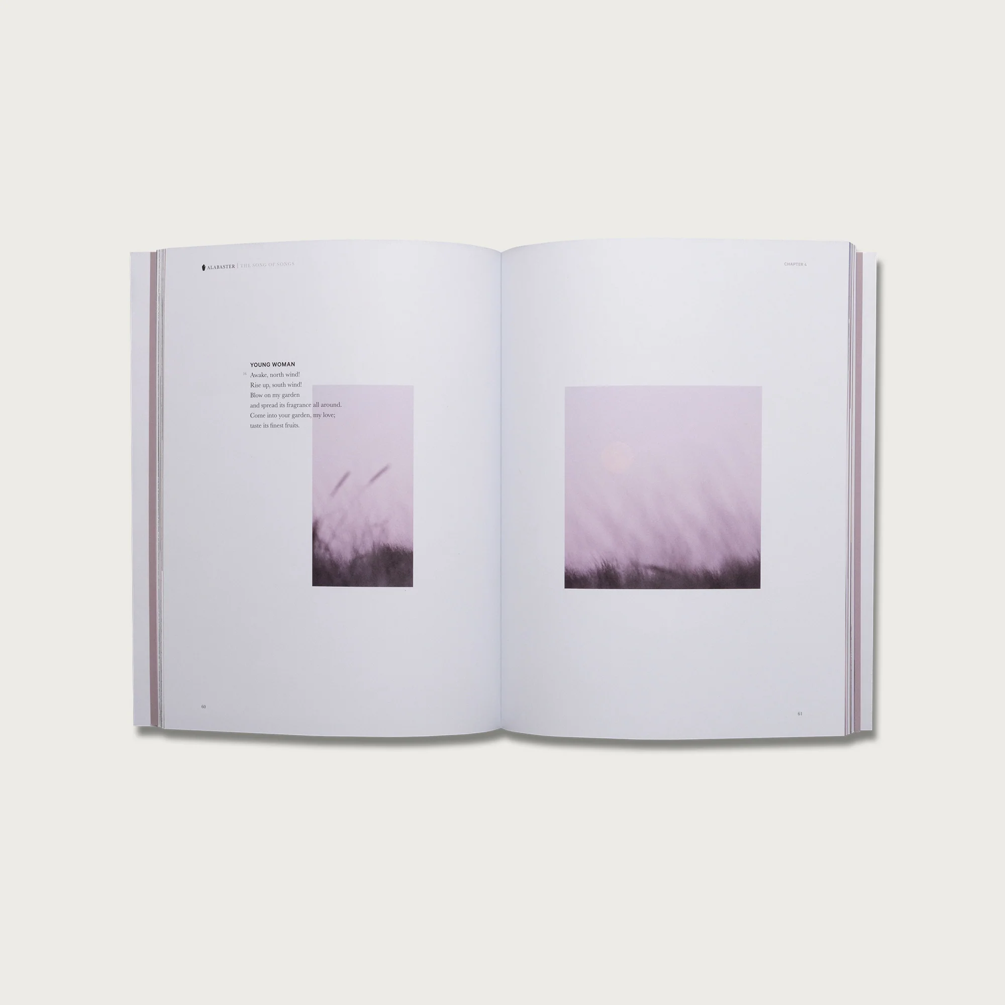 Wisdom Collection - Image 11
