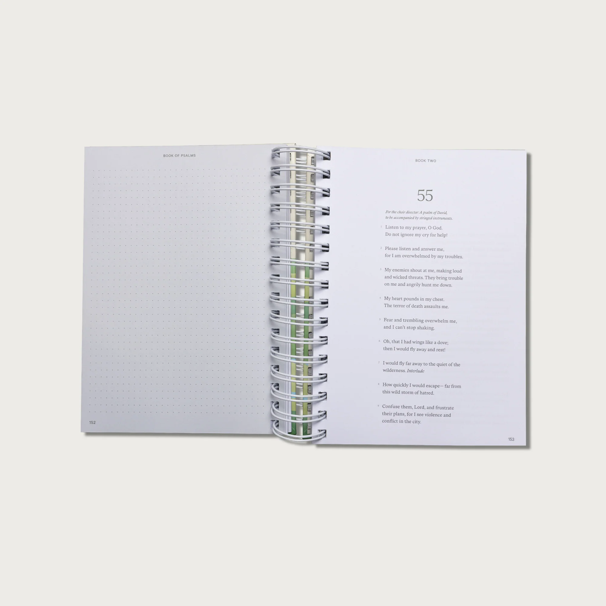 The Book of Psalms Journal Bible - Image 13