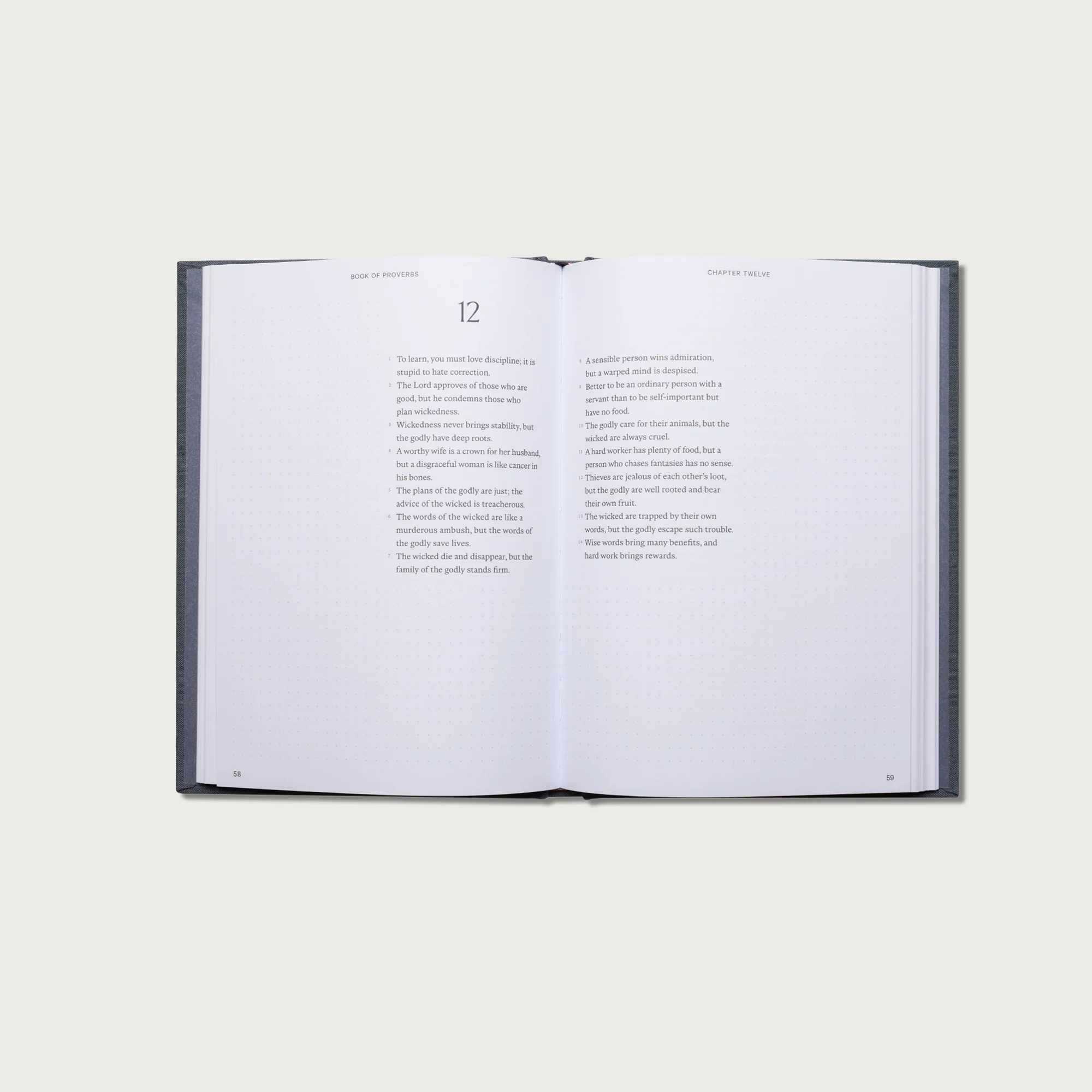 Wisdom Pairing: Journal Bibles - Image 25